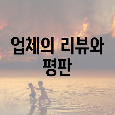 업체의 리뷰와 평판