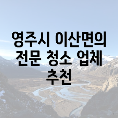 영주시 이산면의 전문 청소 업체 추천