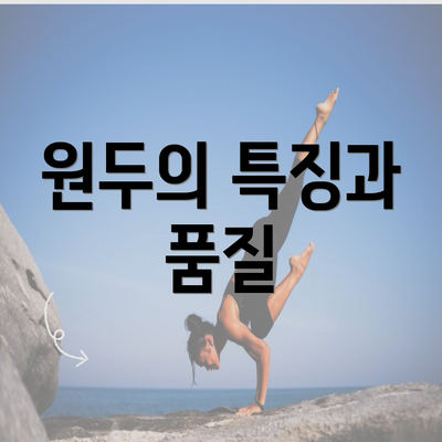 원두의 특징과 품질