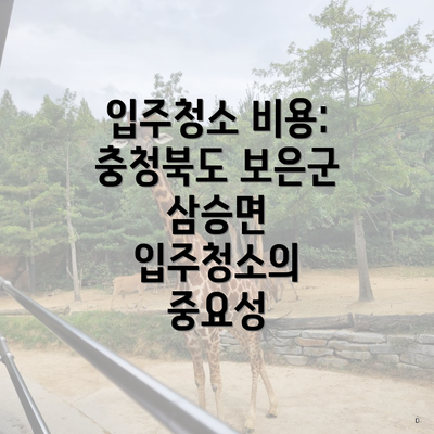 입주청소 비용: 충청북도 보은군 삼승면 입주청소의 중요성