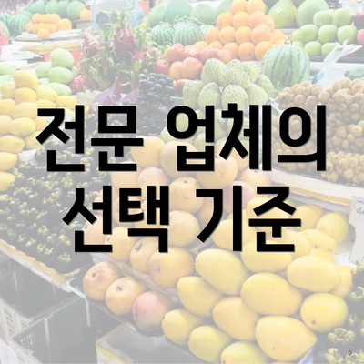 전문 업체의 선택 기준