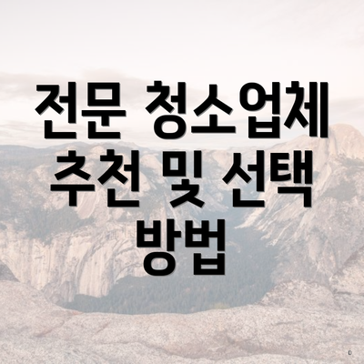 전문 청소업체 추천 및 선택 방법