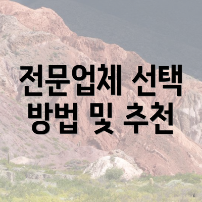 전문업체 선택 방법 및 추천