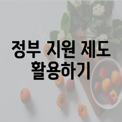 정부 지원 제도 활용하기