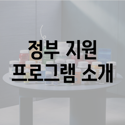 정부 지원 프로그램 소개