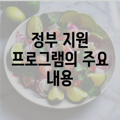 정부 지원 프로그램의 주요 내용