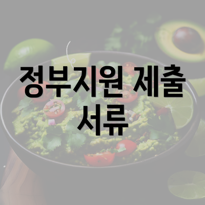 정부지원 제출 서류