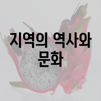 지역의 역사와 문화