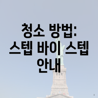 청소 방법: 스텝 바이 스텝 안내