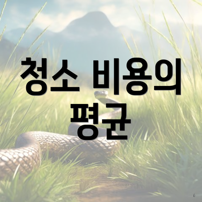 청소 비용의 평균