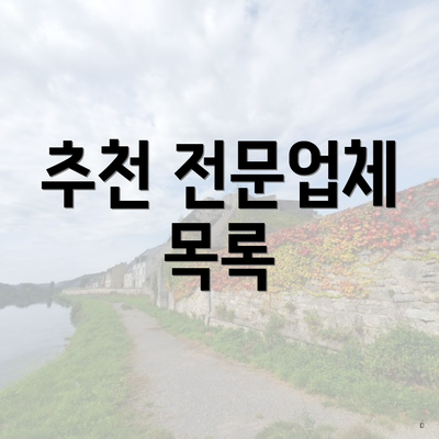 추천 전문업체 목록