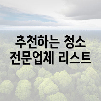 추천하는 청소 전문업체 리스트