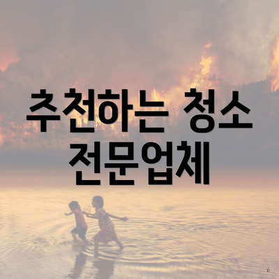 추천하는 청소 전문업체