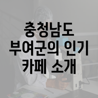 충청남도 부여군의 인기 카페 소개