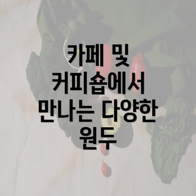 카페 및 커피숍에서 만나는 다양한 원두