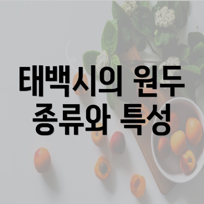 태백시의 원두 종류와 특성