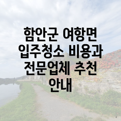 함안군 여항면 입주청소 비용과 전문업체 추천 안내