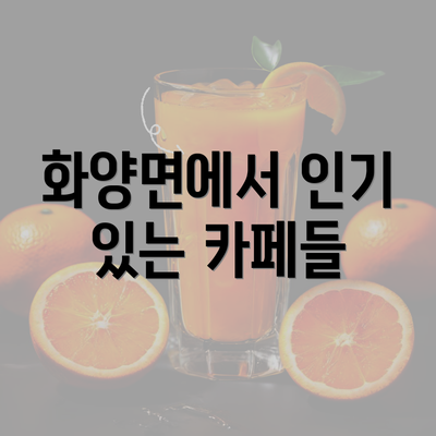 화양면에서 인기 있는 카페들