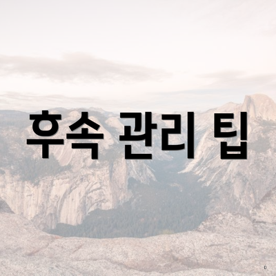 후속 관리 팁