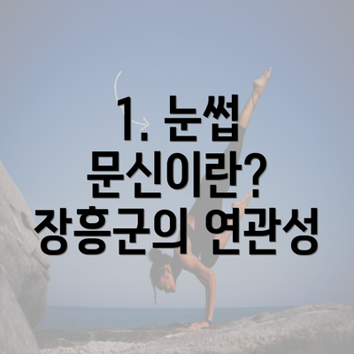 1. 눈썹 문신이란? 장흥군의 연관성