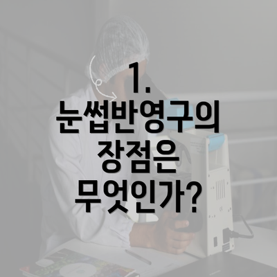 1. 눈썹반영구의 장점은 무엇인가?