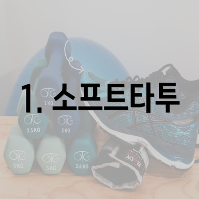 1. 소프트타투