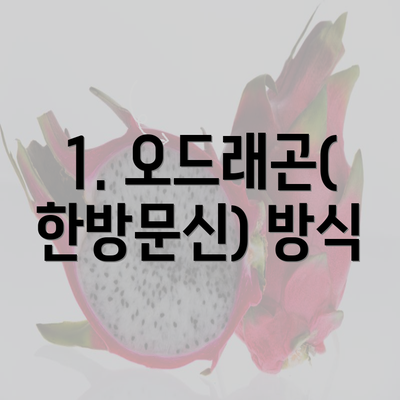 1. 오드래곤(한방문신) 방식