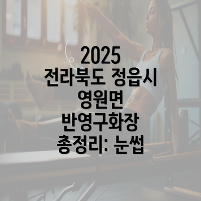 2025 전라북도 정읍시 영원면 반영구화장 총정리: 눈썹