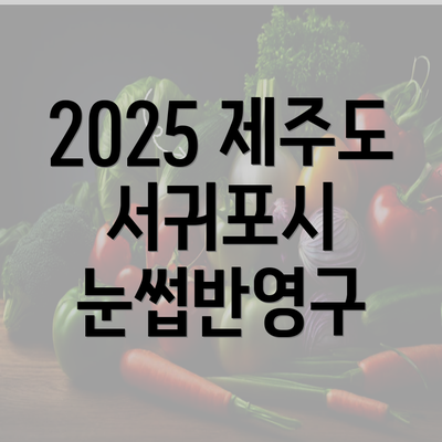 2025 제주도 서귀포시 눈썹반영구