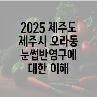 2025 제주도 제주시 오라동 눈썹반영구에 대한 이해