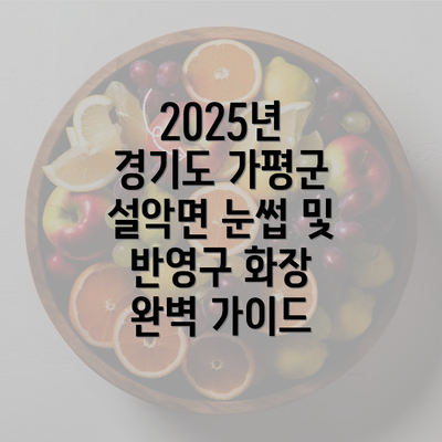 2025년 경기도 가평군 설악면 눈썹 및 반영구 화장 완벽 가이드