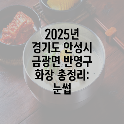 2025년 경기도 안성시 금광면 반영구 화장 총정리: 눈썹