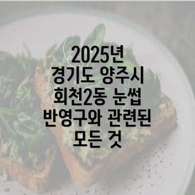 2025년 경기도 양주시 회천2동 눈썹 반영구와 관련된 모든 것