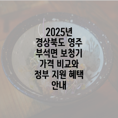 2025년 경상북도 영주 부석면 보청기 가격 비교와 정부 지원 혜택 안내