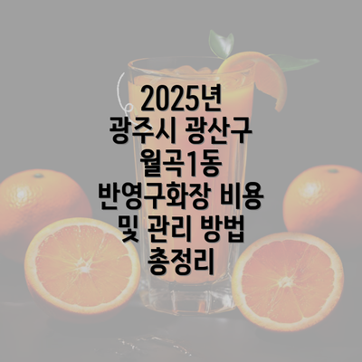 2025년 광주시 광산구 월곡1동 반영구화장 비용 및 관리 방법 총정리