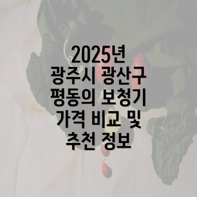 2025년 광주시 광산구 평동의 보청기 가격 비교 및 추천 정보