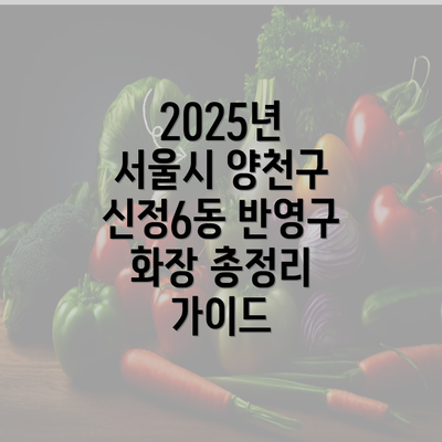 2025년 서울시 양천구 신정6동 반영구 화장 총정리 가이드