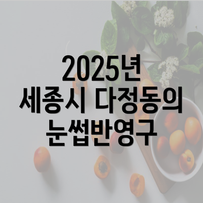 2025년 세종시 다정동의 눈썹반영구