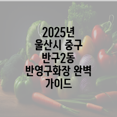 2025년 울산시 중구 반구2동 반영구화장 완벽 가이드