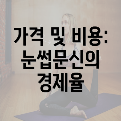 가격 및 비용: 눈썹문신의 경제율