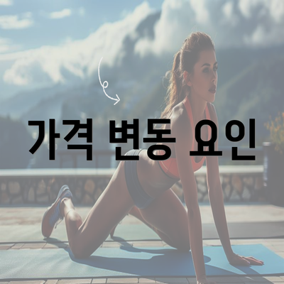 가격 변동 요인