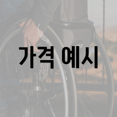 가격 예시