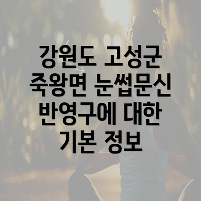 강원도 고성군 죽왕면 눈썹문신 반영구에 대한 기본 정보