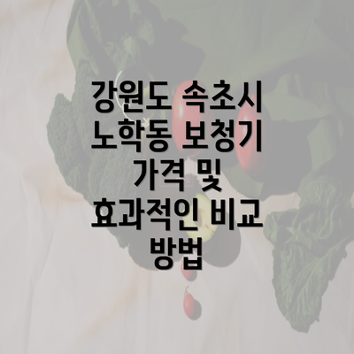 강원도 속초시 노학동 보청기 가격 및 효과적인 비교 방법