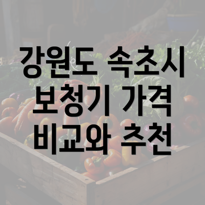 강원도 속초시 보청기 가격 비교와 추천