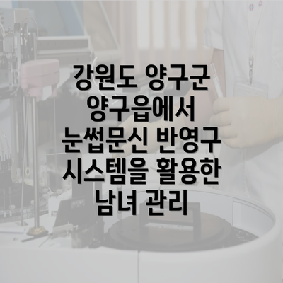 강원도 양구군 양구읍에서 눈썹문신 반영구 시스템을 활용한 남녀 관리