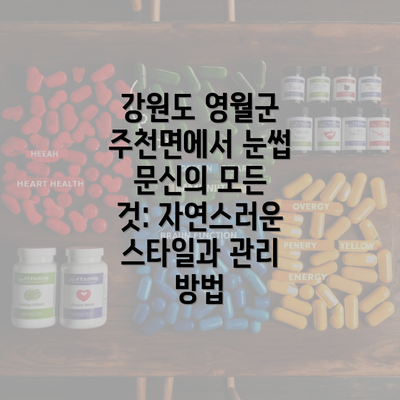 강원도 영월군 주천면에서 눈썹 문신의 모든 것: 자연스러운 스타일과 관리 방법