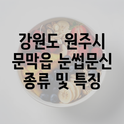 강원도 원주시 문막읍 눈썹문신 종류 및 특징