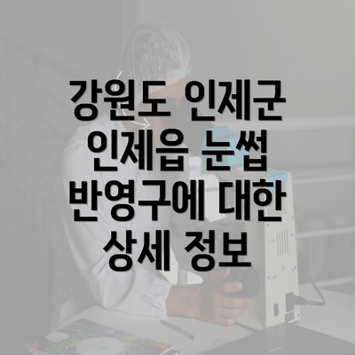 강원도 인제군 인제읍 눈썹 반영구에 대한 상세 정보