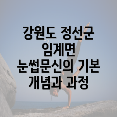 강원도 정선군 임계면 눈썹문신의 기본 개념과 과정